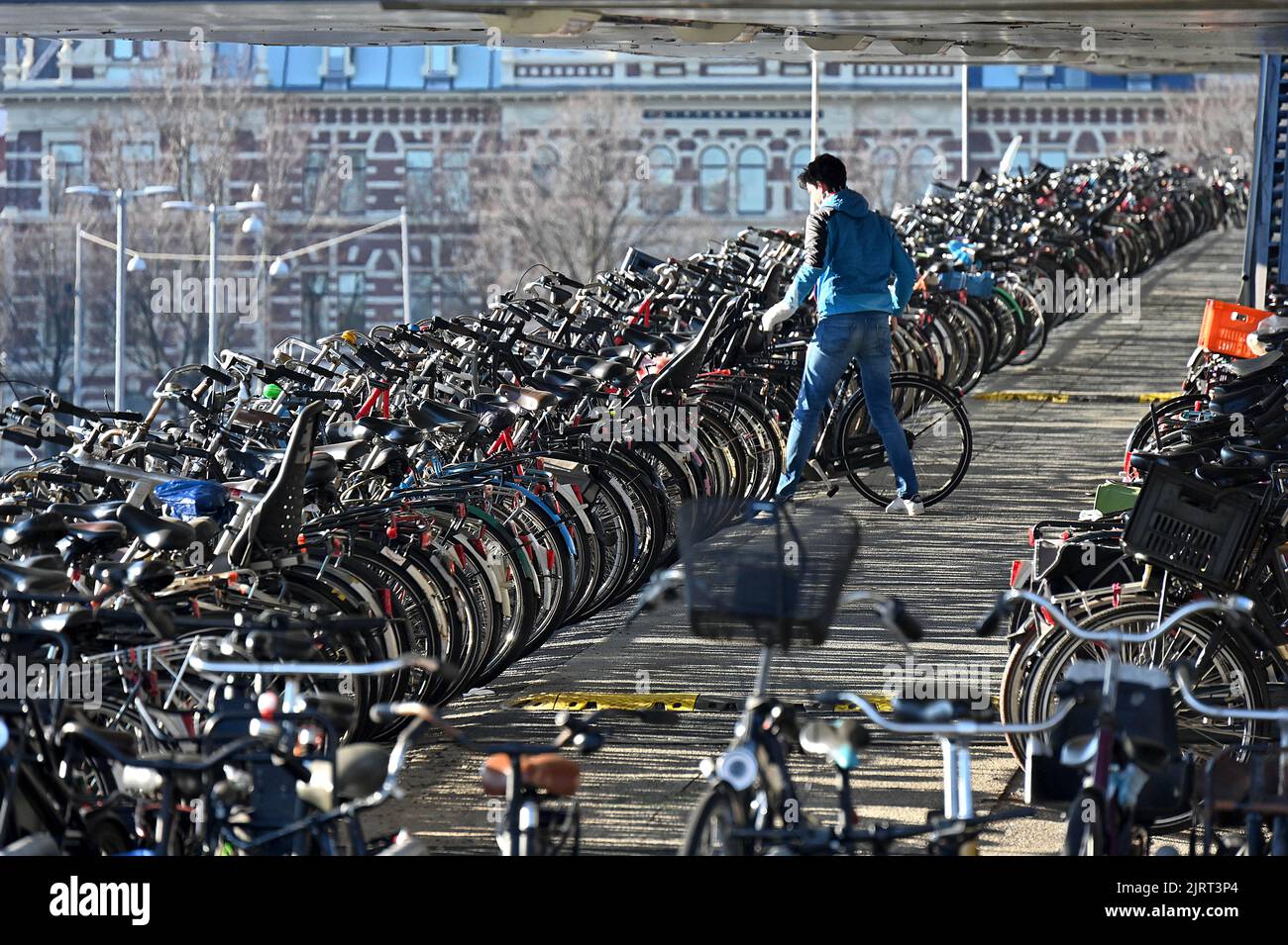 Olanda, Amsterdam: L'uomo parcheggia la sua bicicletta nel mezzo di migliaia di altre persone presso il parcheggio della stazione ferroviaria principale Foto Stock