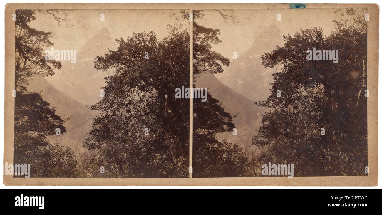 Monte Balloon, 1888, Parco Nazionale di Fiordland, di Burton Brothers. Foto Stock