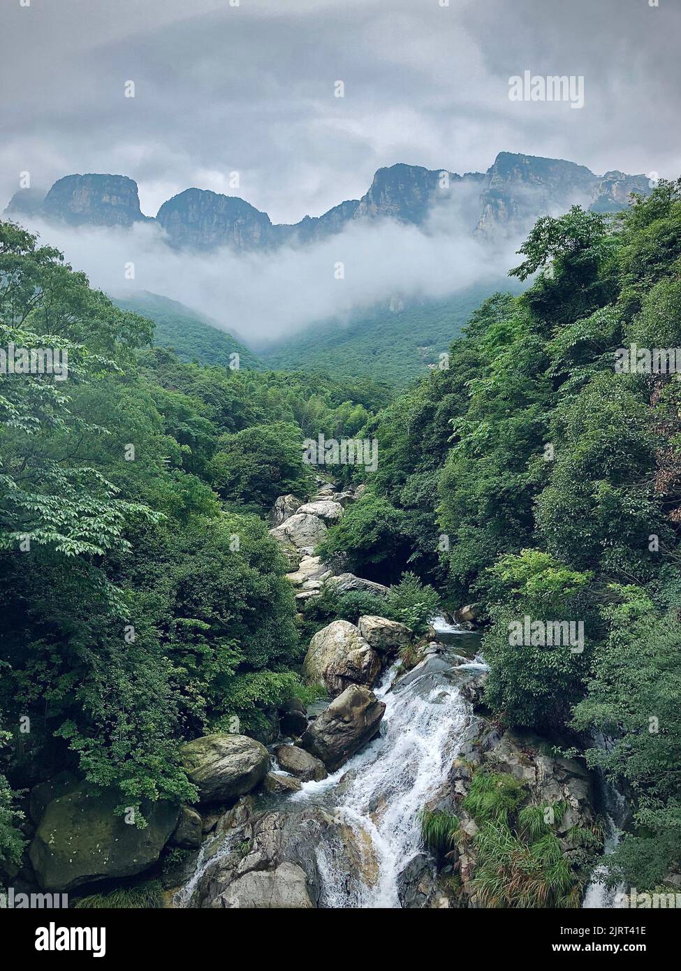 Un bellissimo scatto di un fiume che scorre tra gli alberi del Monte Kumgang Foto Stock