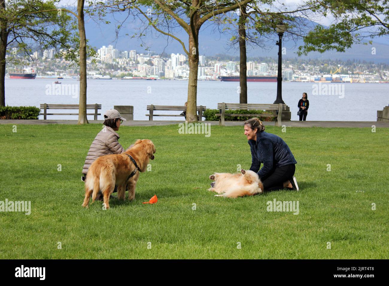 Due femmine che giocano con cani nel centro di Vancouver, British Columbia, Canada Foto Stock