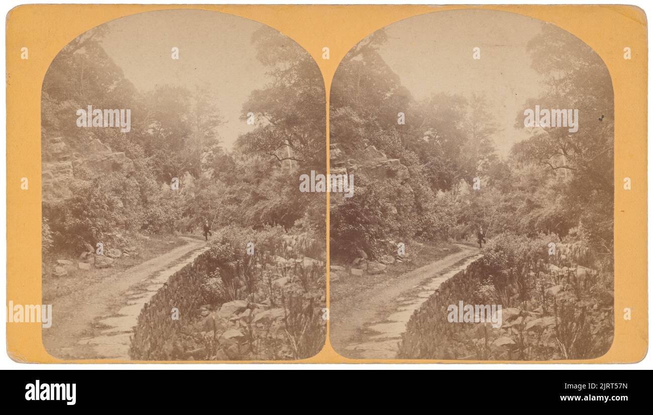 Queenstown, circa 1880, Otago, da Un D Dent. Foto Stock