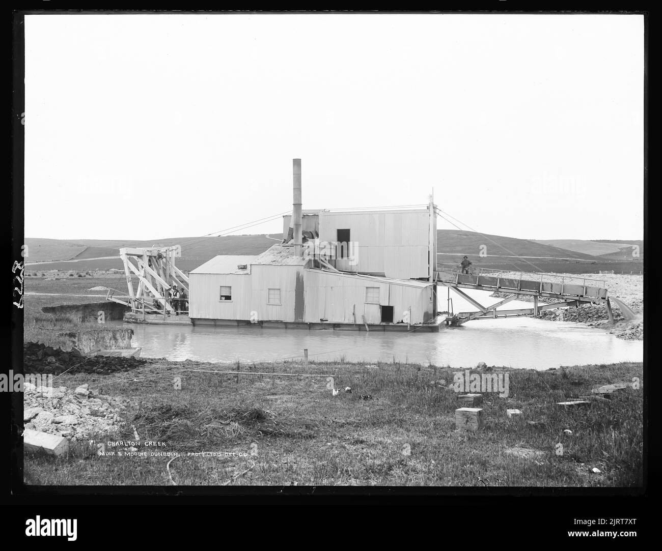 Charlton Creek, Nuova Zelanda, di Muir & Moodie. Foto Stock