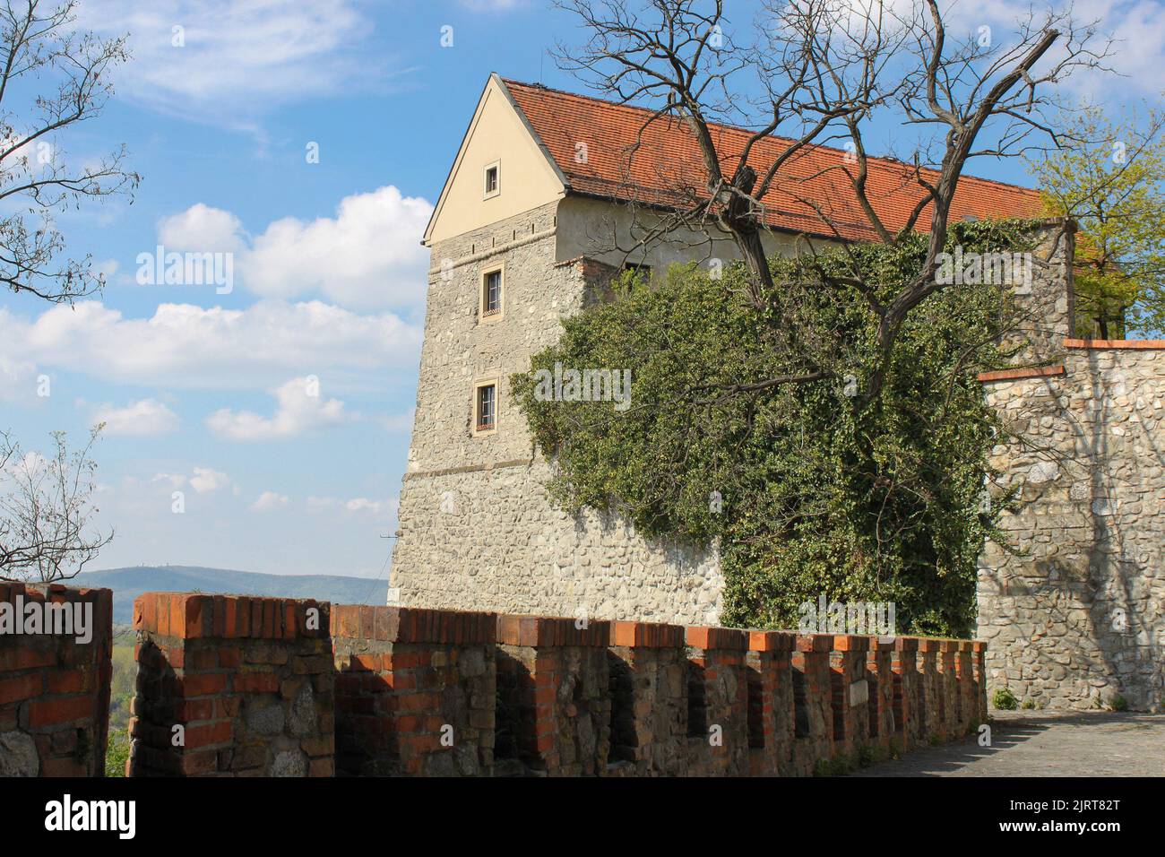 Pietra e edera-coperto torre del castello con tetto a tegole. Paesaggio con un edificio medievale Foto Stock