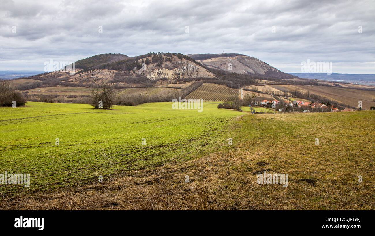 Splendida vista autunnale di Palava / Devin, Repubblica Ceca - regione vinicola della Moravia meridionale. Foto Stock