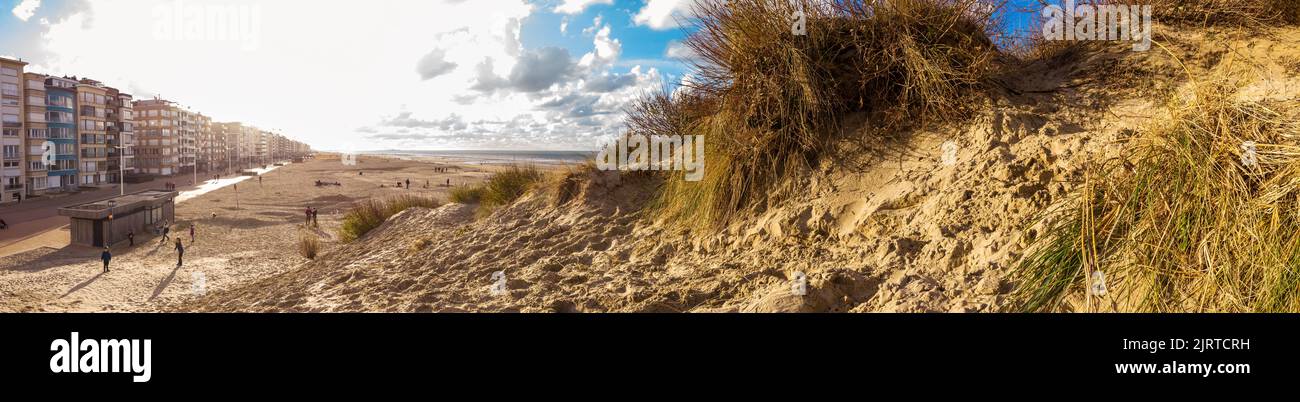 Highangle panorama da una duna con sawgrass alla spiaggia di Koksijde sulla costa belga in calda luce autunnale Foto Stock