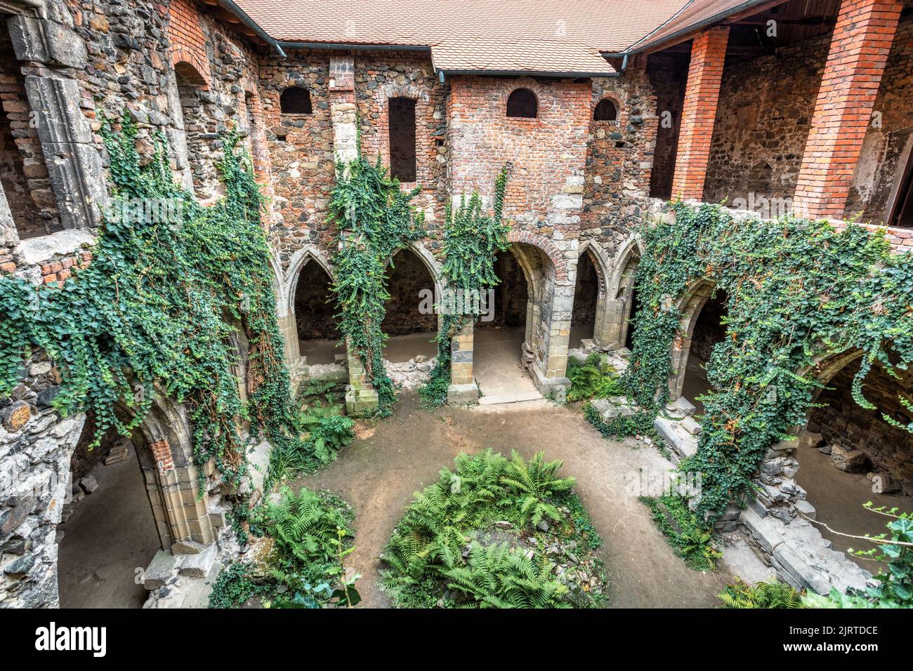 Il monastero di Rosa Coeli. Antica rovina cattolica del monastero vicino alla città di Dolni Kounice. Religione luogo gotico con la storia spirituale costruito dalla pietra. Foto Stock