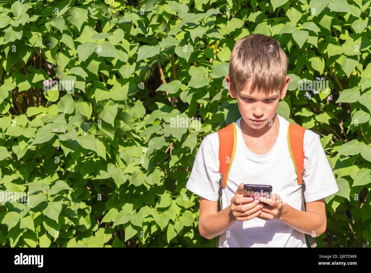 Ritratto di un ragazzo felice con uno zaino utilizzando uno smartphone, scrivere messaggi online per strada su uno sfondo verde di foglie, spazio copia. T Foto Stock