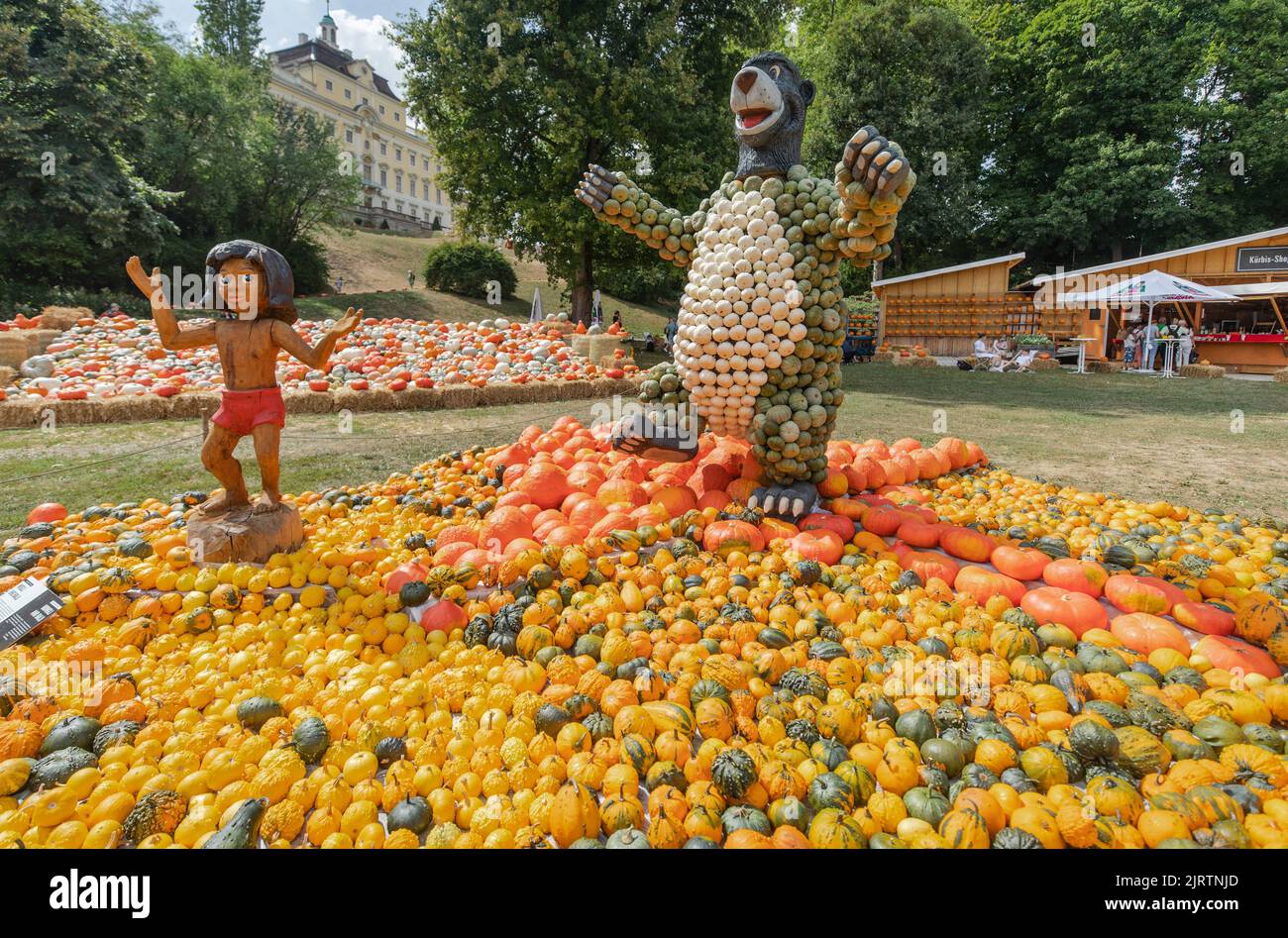 Ludwigsburg, Germania. 26th ago, 2022. Un Baloo (r) costruito dalle zucche dell'artista Pit Ruge è visibile accanto alla figura di Mogli all'inizio della mostra di zucca di Ludwigsburg nel Barock di Blühenden. Sotto il motto 'Jungle' la mostra si svolgerà dalle 26.08.2022 alle 04.12.2022. Credit: Christoph Schmidt/dpa/Alamy Live News Foto Stock