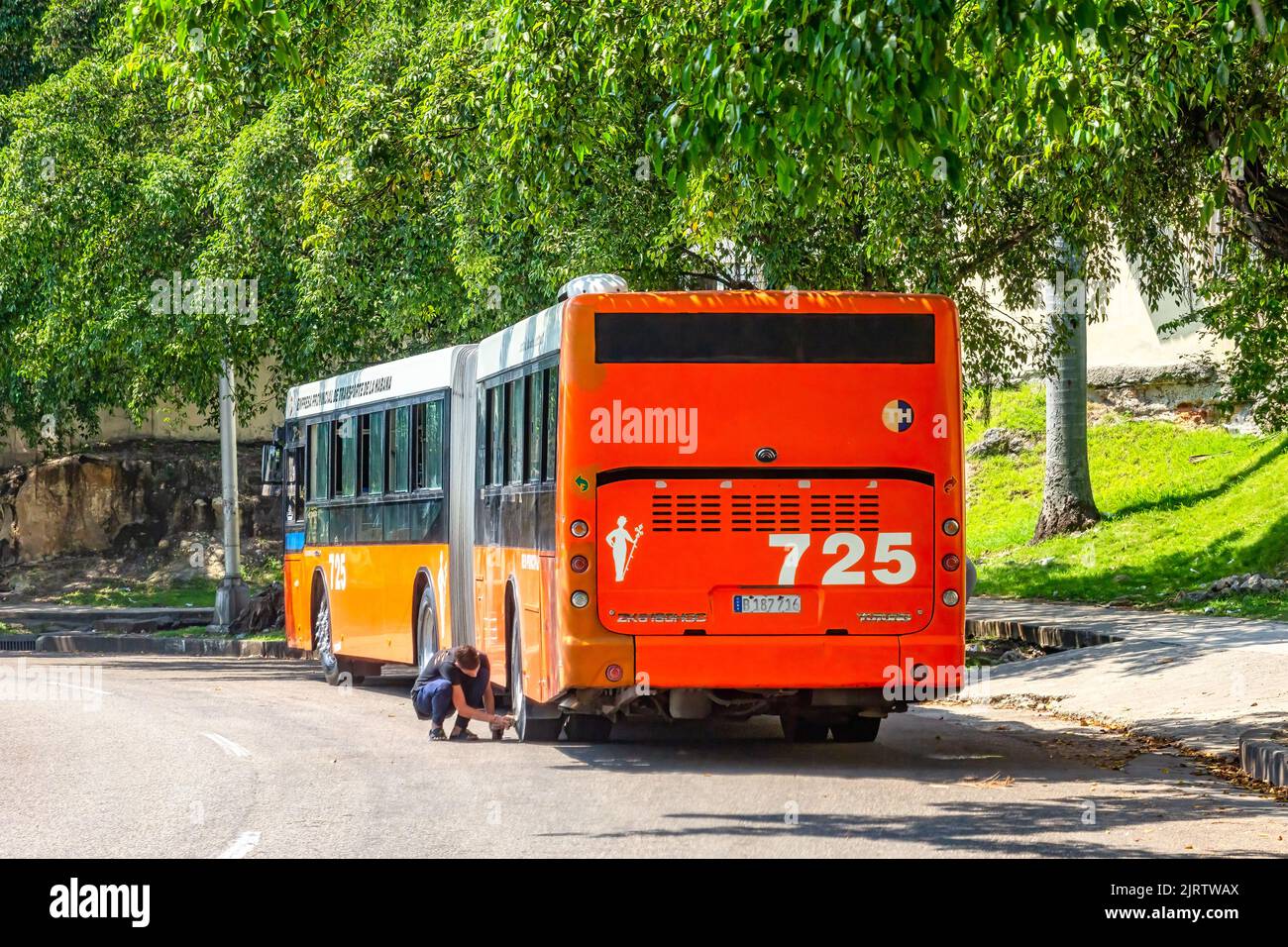 Il conducente di un autobus pubblico controlla uno pneumatico posteriore del veicolo. Il mezzo di trasporto è parcheggiato in strada cittadina dove gli alberi proiettano un po' di ombra. Foto Stock