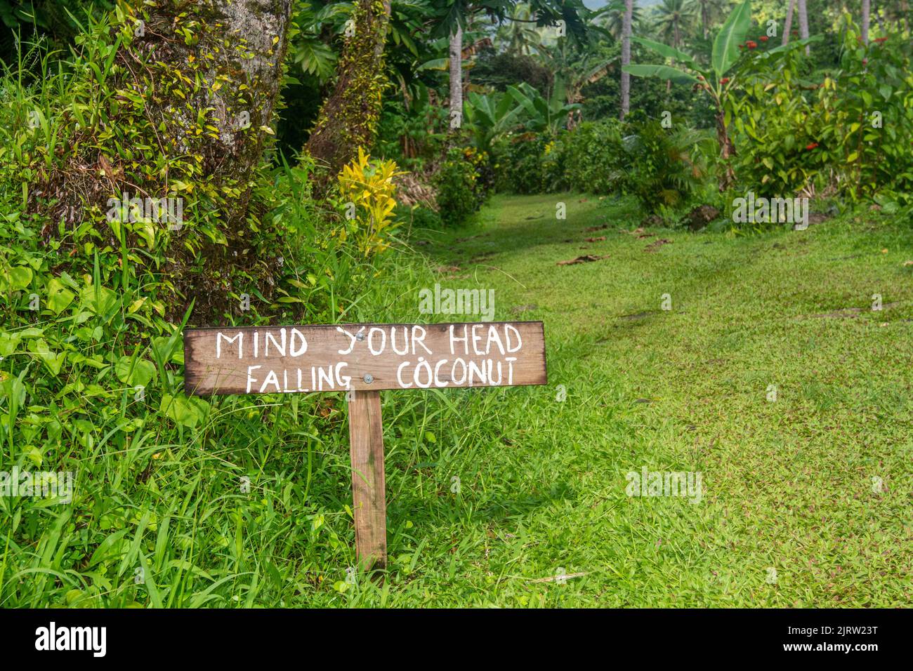 Un segno di legno pubblica un avvertimento per guardare fuori per le noci di cocco che cadono, che possono ucciderli. Foto Stock