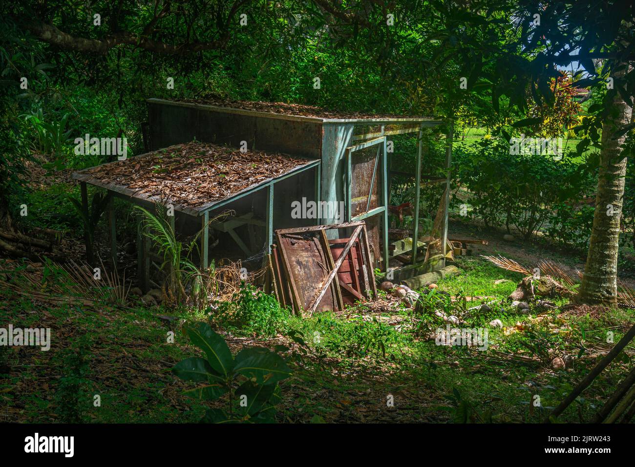 Una capanna abbandonata in una fitta foresta boschiva colpita dalla luce del sole di mattina per evidenziare la sua condizione. Foto Stock
