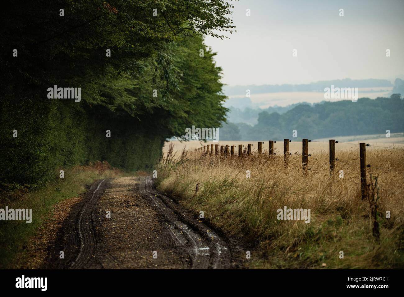 Strada di campagna Foto Stock