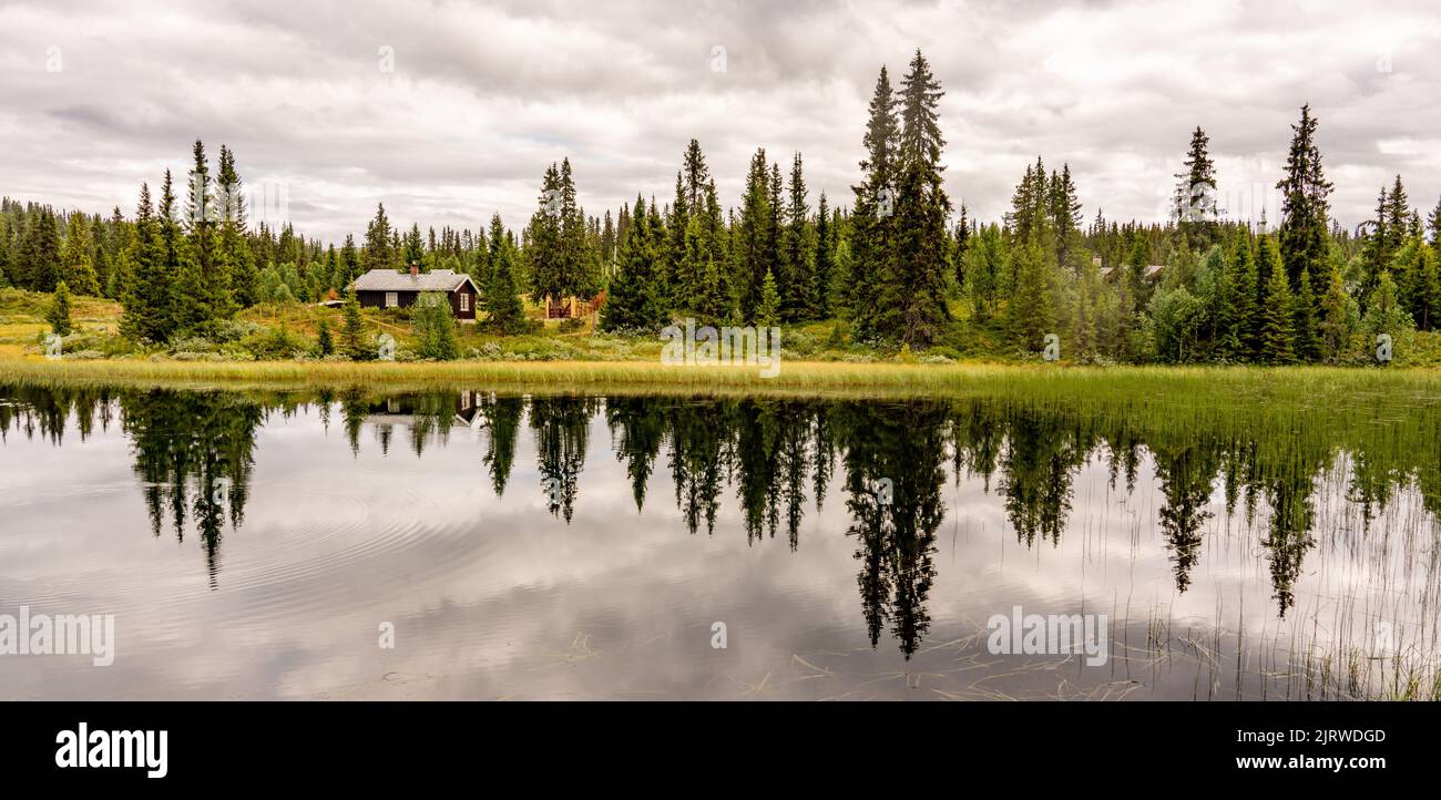 Hytte e alberi sul lago si riflettono nelle acque di un piccolo lago nella zona di Oppland, nella Norvegia centrale Foto Stock