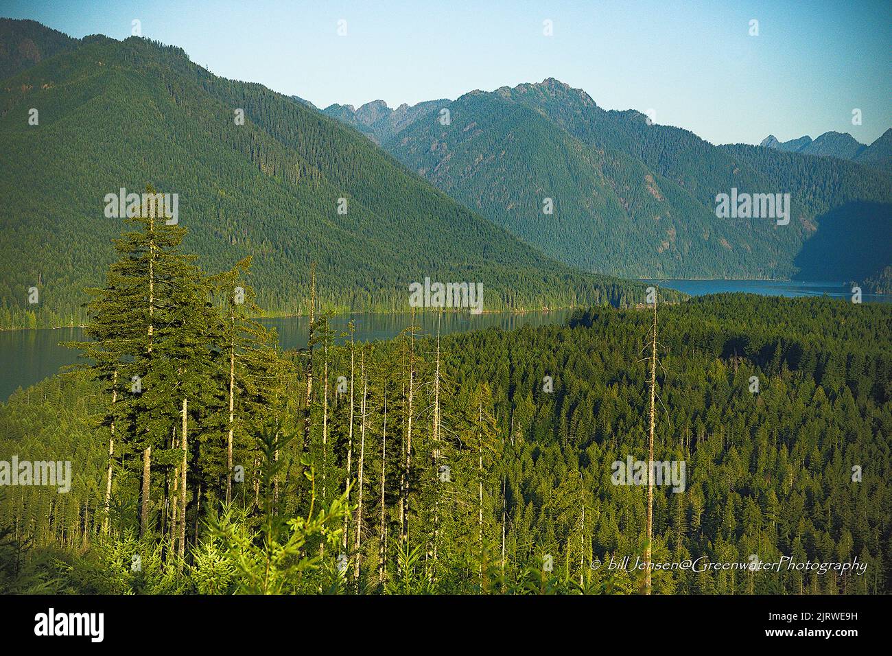 Il lago di Cushman Foto Stock