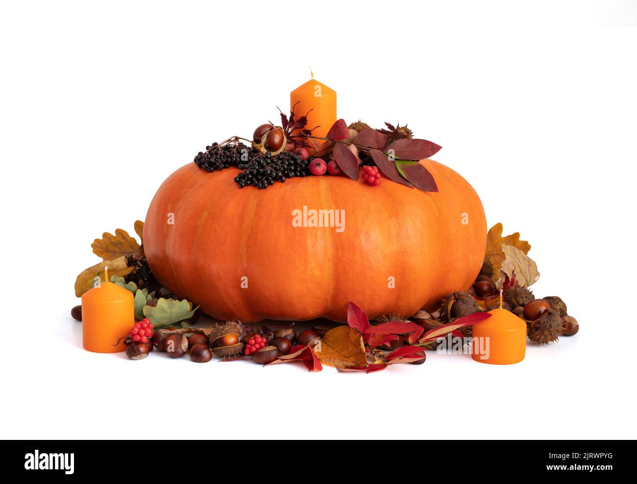 Festive decorazione di zucca isolato su uno sfondo bianco. Zucca con candele, foglie secche, castagne e bacche. Concetto di giorno di ringraziamento. Autunno d Foto Stock