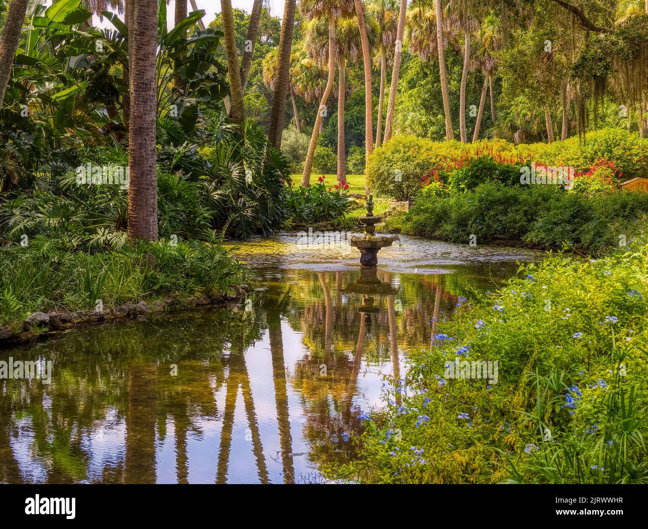 Pond nel quartiere storico di Washington Oaks nel Washington Oaks Gardens state Park a Palm Coast Florida USA Foto Stock