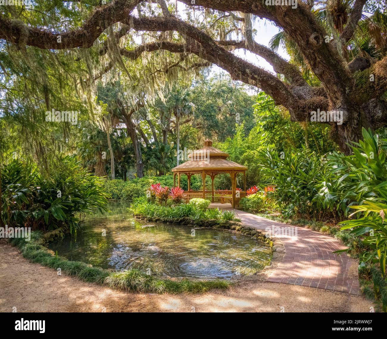 Pond nel quartiere storico di Washington Oaks nel Washington Oaks Gardens state Park a Palm Coast Florida USA Foto Stock
