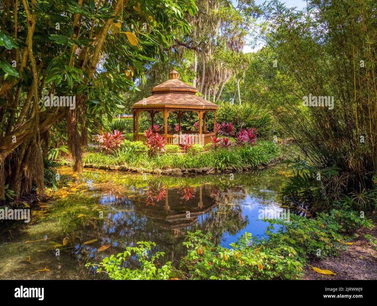 Pond nel quartiere storico di Washington Oaks nel Washington Oaks Gardens state Park a Palm Coast Florida USA Foto Stock