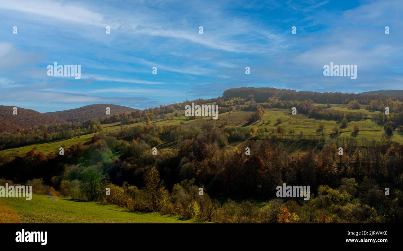 Bellissimo paesaggio autunnale della Transilvania Romania con verdi colline blu cielo e alberi con congedo giallo Foto Stock