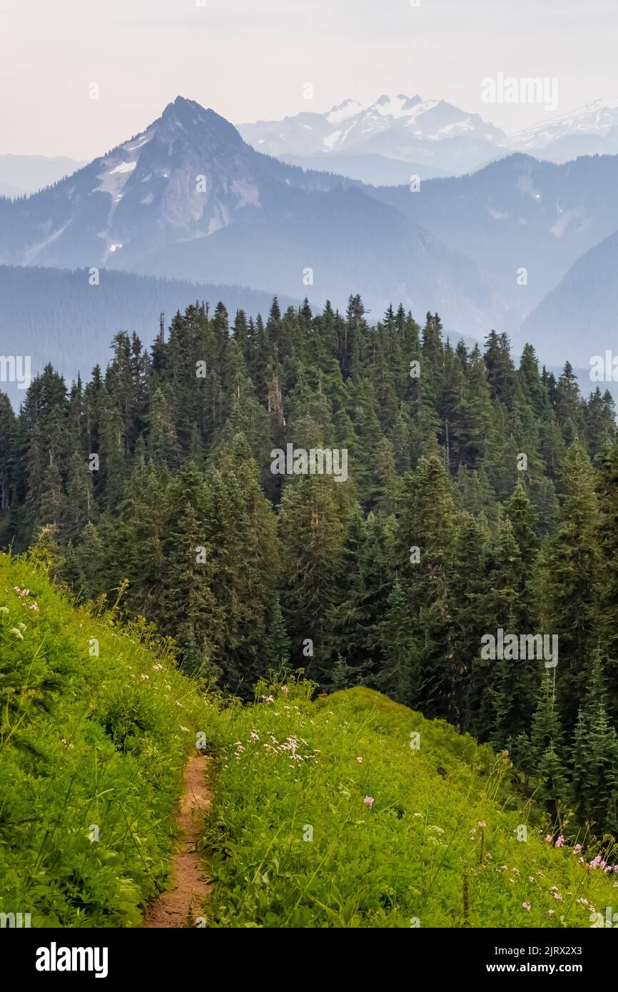 Evergreen Mountain, Cascade Range, Mt. Baker-Snoqualmie National Forest, Washington state, USA Foto Stock
