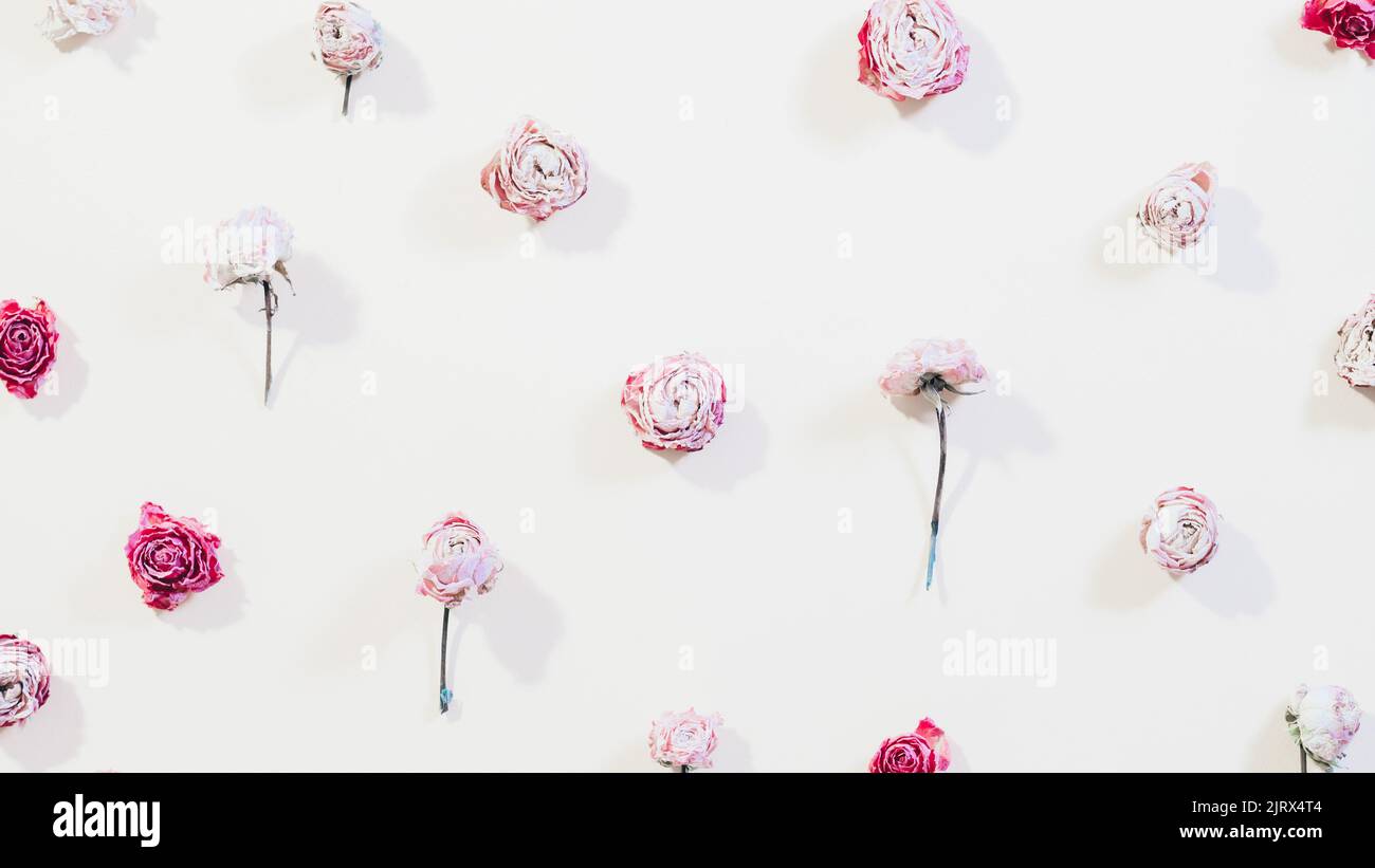 motivo floreale disegno fiore composizione testa di rosa Foto Stock
