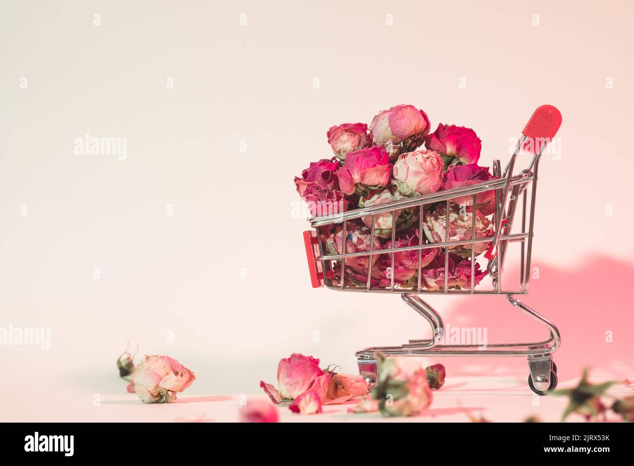 fiore shopping floristry pieno spingere carrello rose Foto Stock