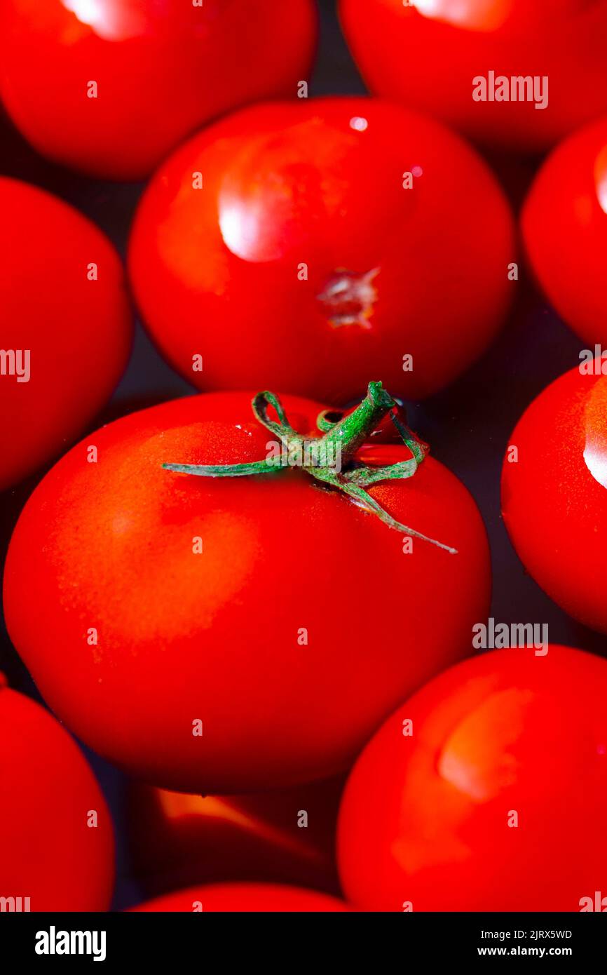 Pomodori rossi rotondi in una bacinella d'acqua sono pronti per la conservazione. Pronto per la conservazione Foto Stock