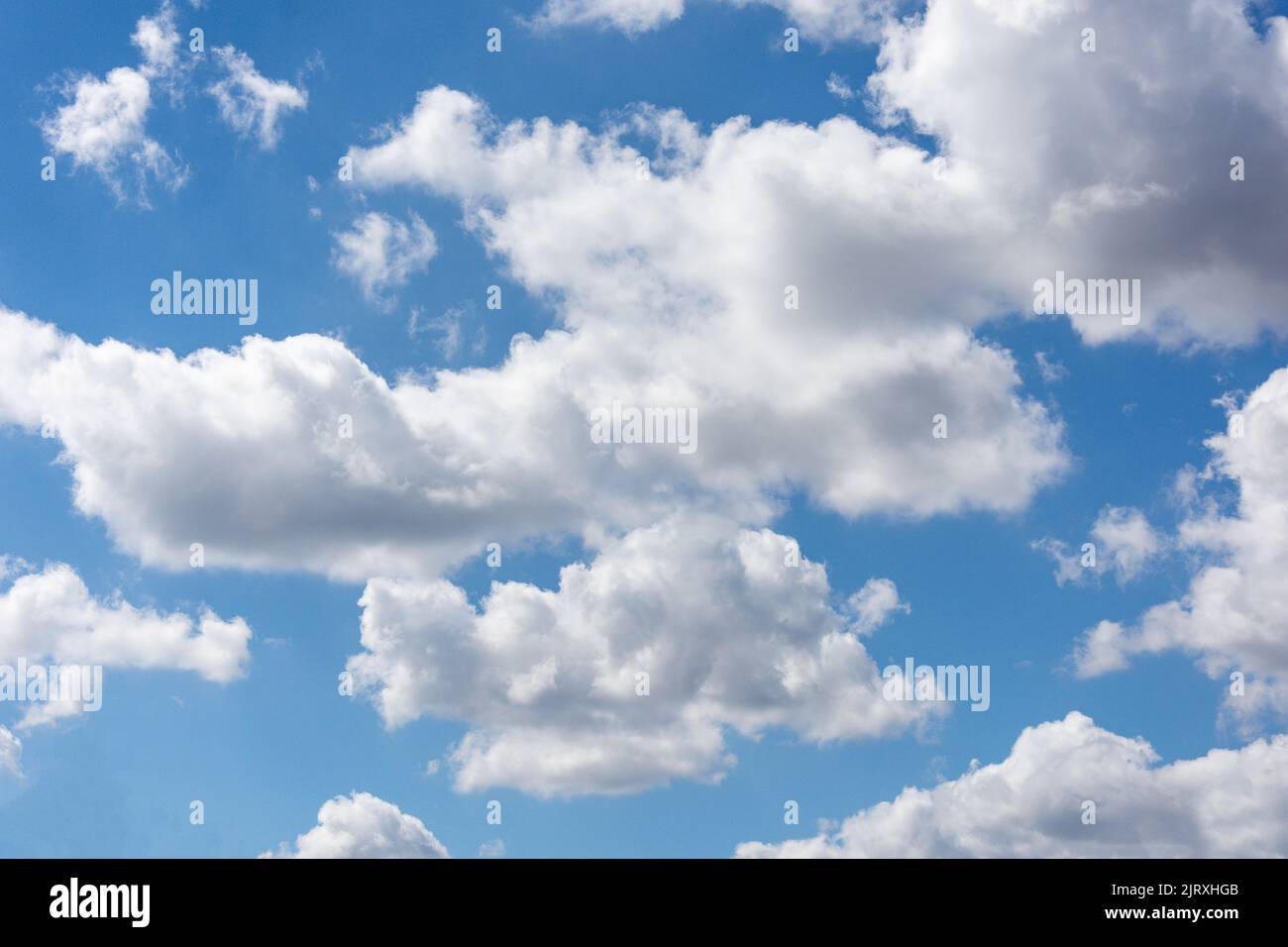 Nuvole di cumulo bianco contro cielo blu, Seaburn, Sunderland, Tyne and Wear, Inghilterra, Regno Unito Foto Stock