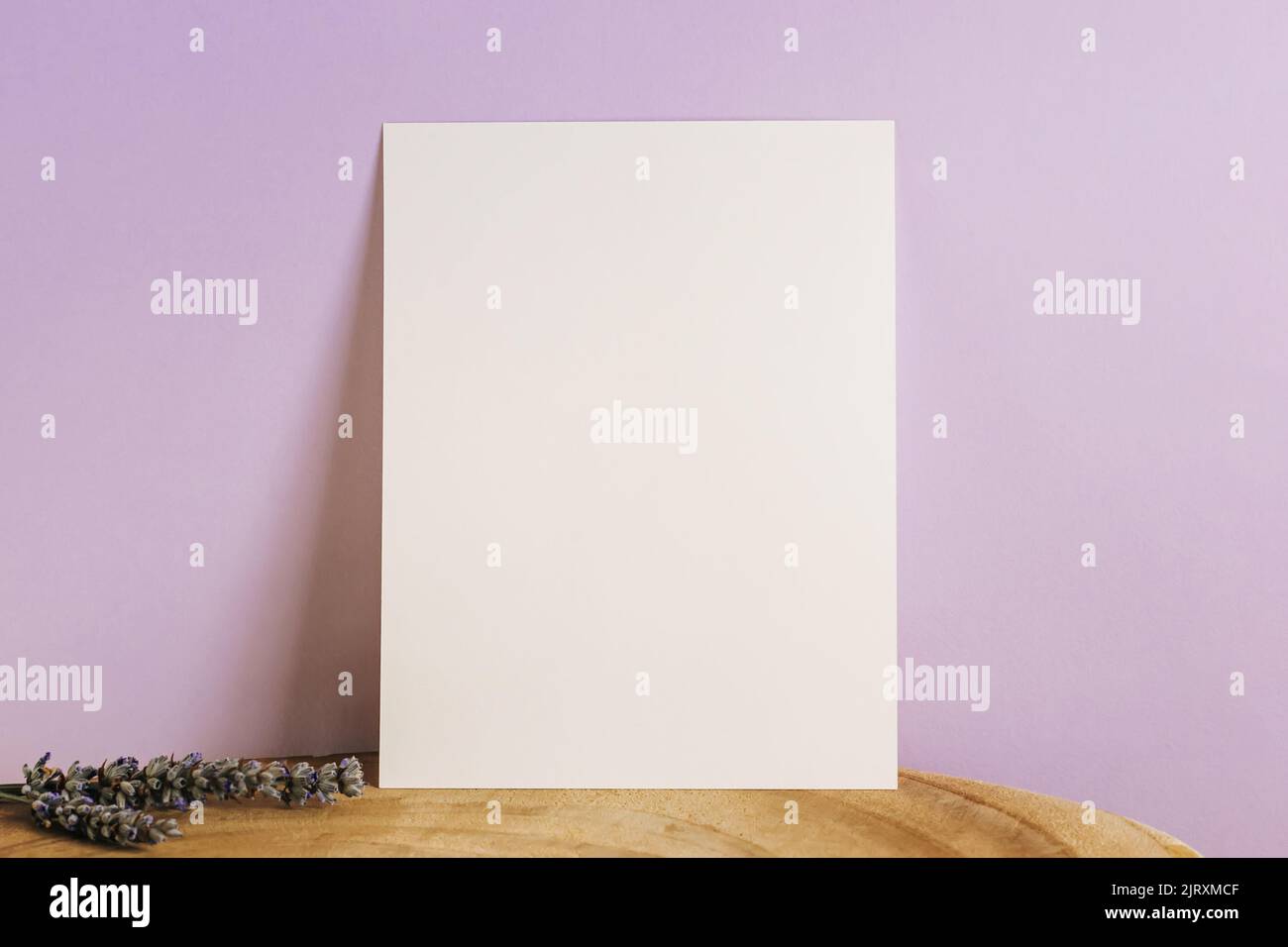 Carta mock-up su parete viola pastello Foto Stock