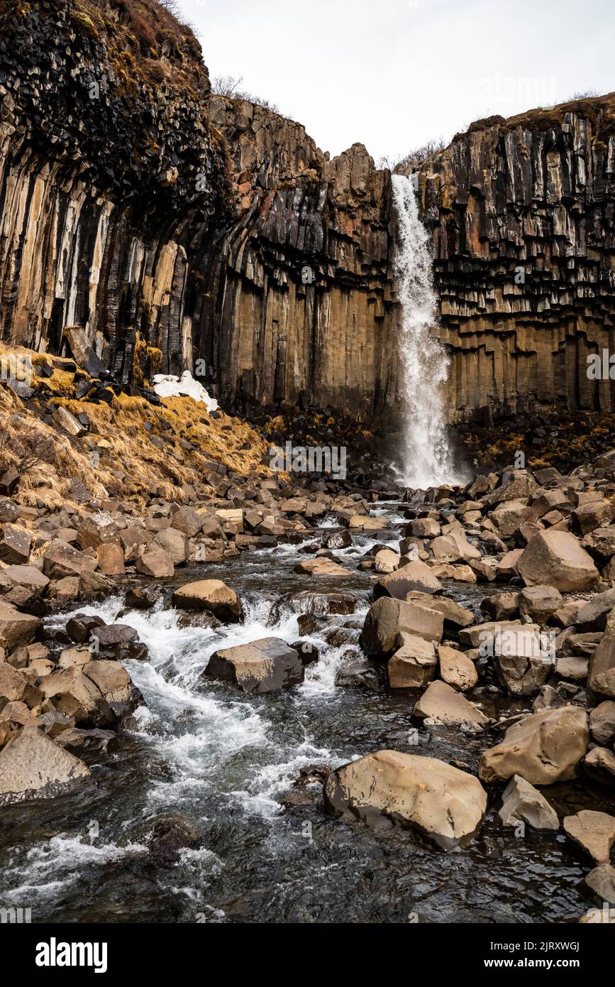 Le iconiche colonne di basalto intorno alla cascata di Svartifoss, formano un anfiteatro naturale a Skaftafell, Islanda, Parco Nazionale di Vatnajökull Foto Stock