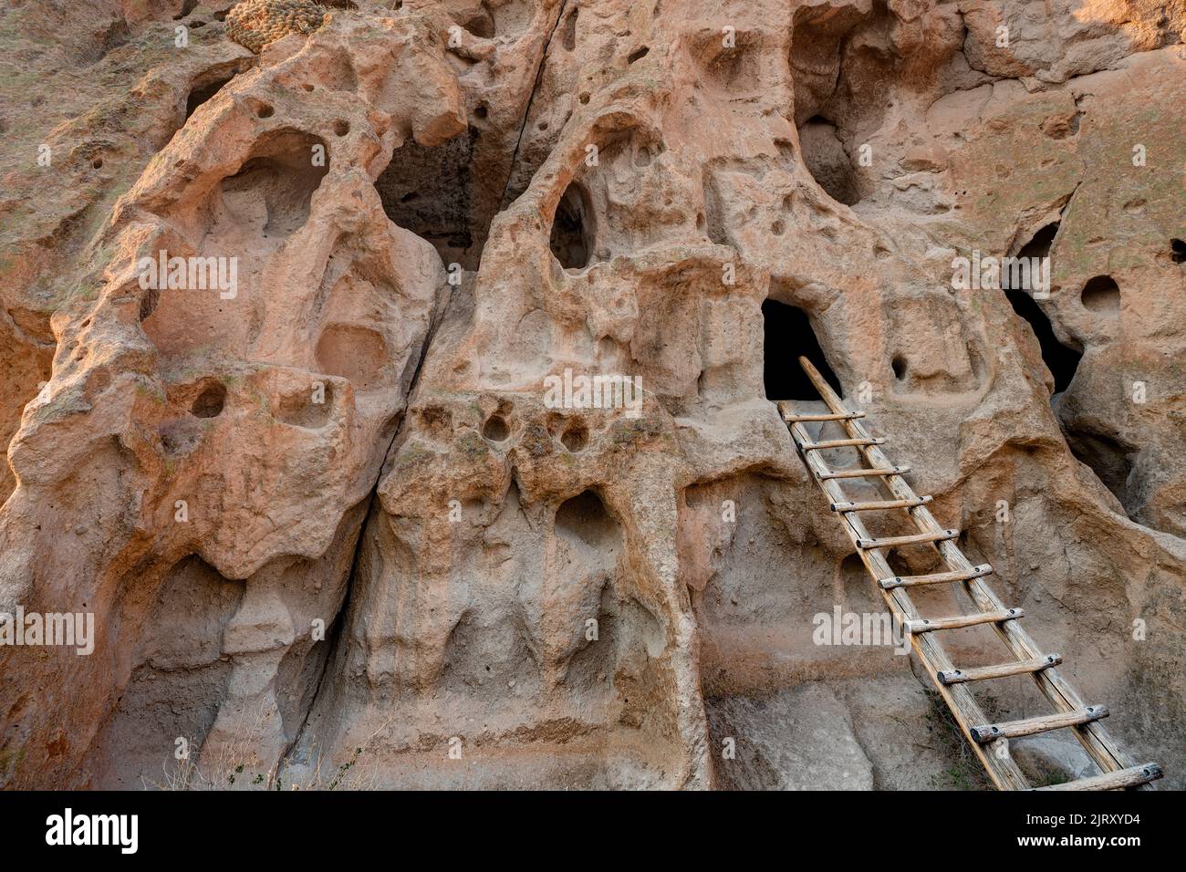 Scala a Talus House, Cliff Dwellings, Bandelier National Monument, New Mexico, USA Foto Stock
