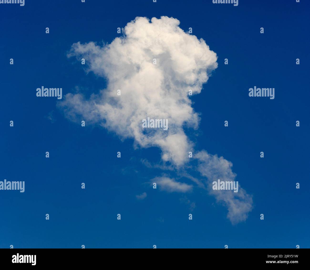 Formazione di nuvole di cumuli bianche soffocate in cielo blu scuro Foto Stock