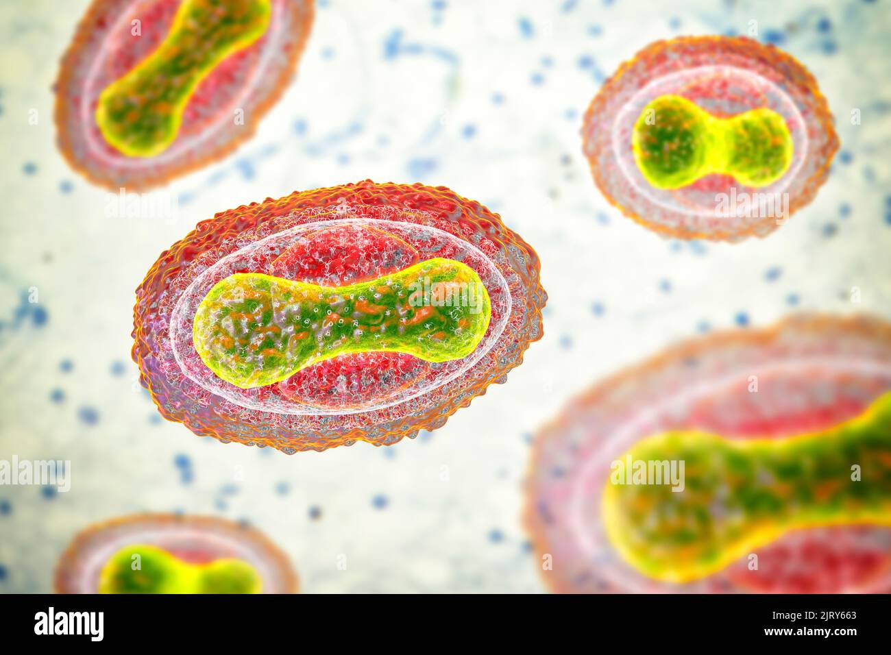 Virus del vaiolo, illustrazione Foto Stock