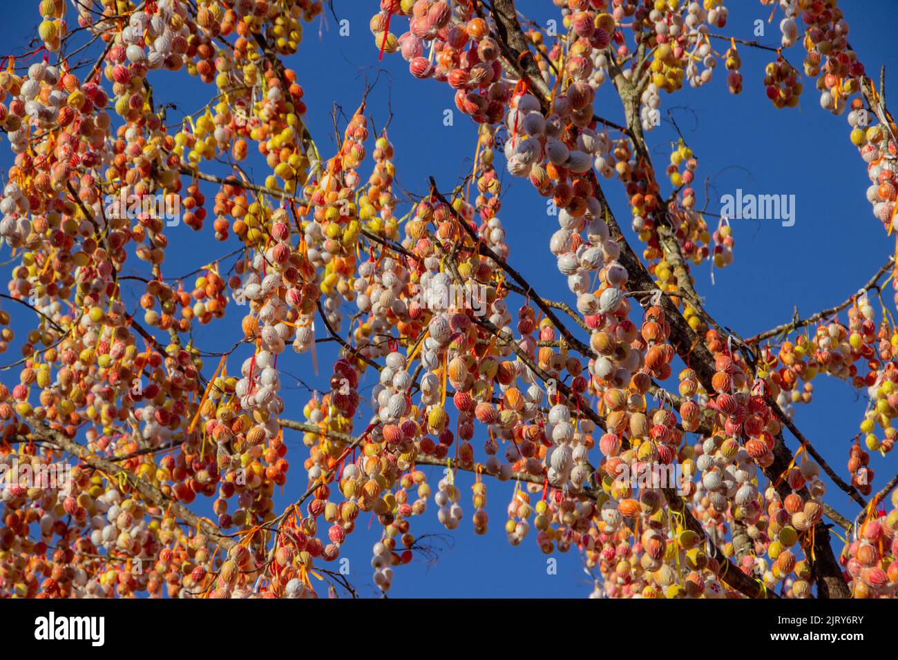 Pomerode albero di Pasqua a Santa Catarina, Brasile - 5 maggio 2019: Dettagli dell'albero di Pasqua più grande del mondo nella città di Pomerode a Santa Cartarina. Foto Stock