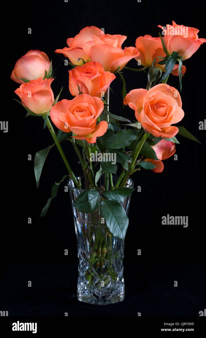 Bouquet di rose arancione Foto Stock