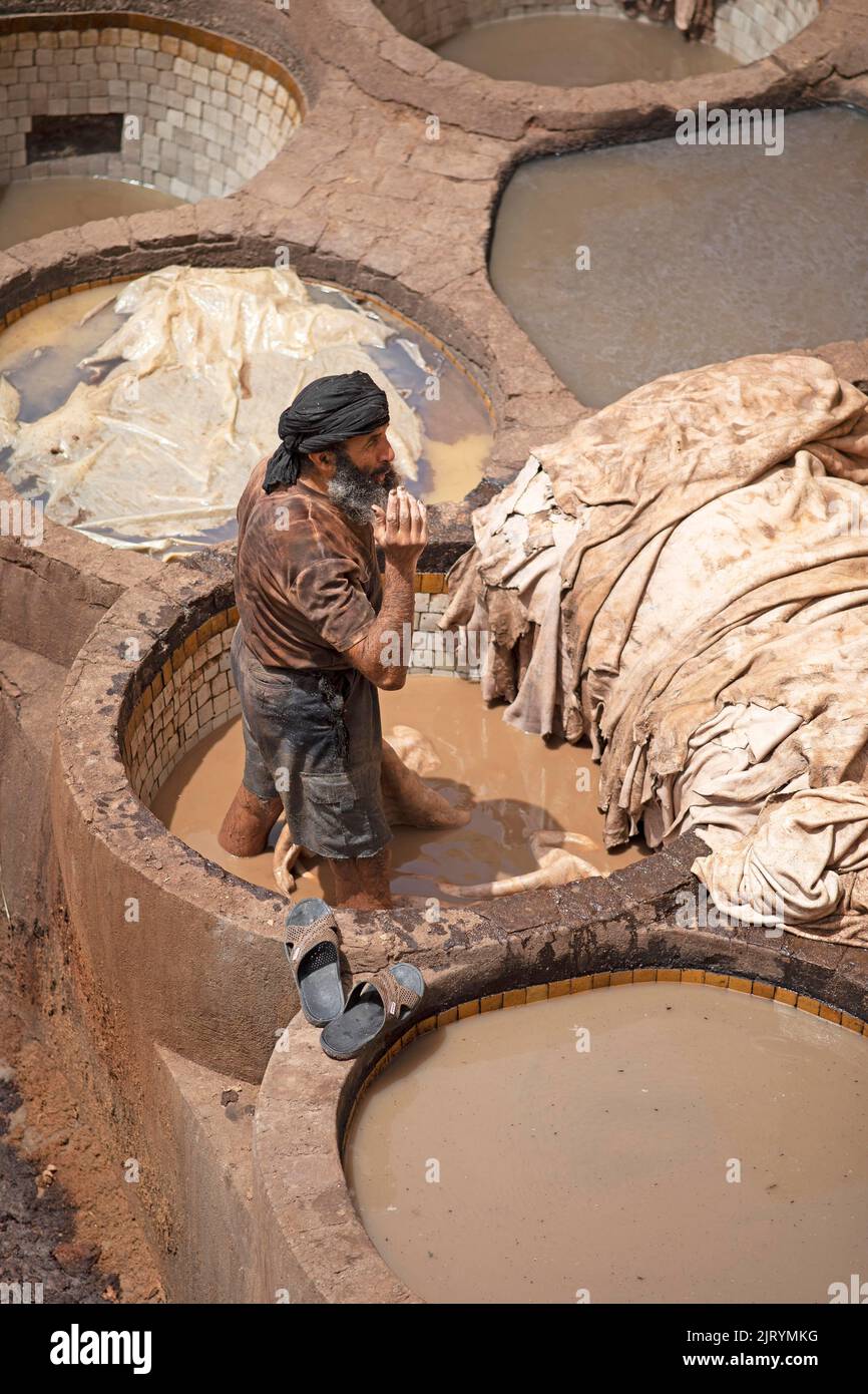 Lavoratori tintura cuoio, bacino con tintura, tinture, Tannerie Chouara conceria, conciatori e tintura quartiere, Fés el Bali, Fez, Regno del Marocco Foto Stock