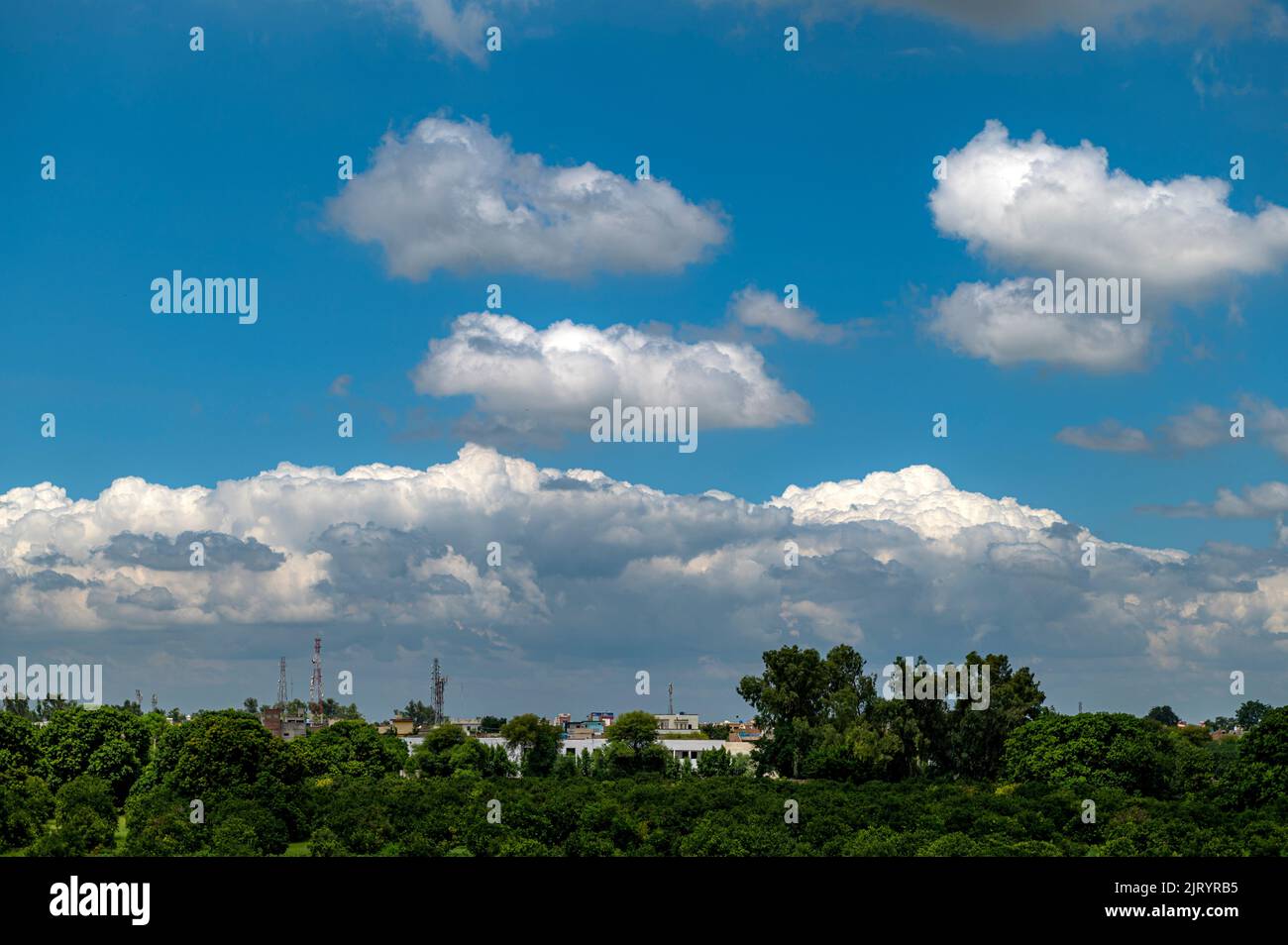 bellissimo paesaggio di campi verdi con cielo blu e nuvole di cotone bianco Foto Stock