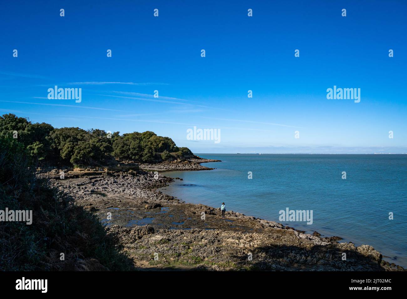 Persona che guarda l'oceano da Ile d'Aix, Charente, estate Foto Stock