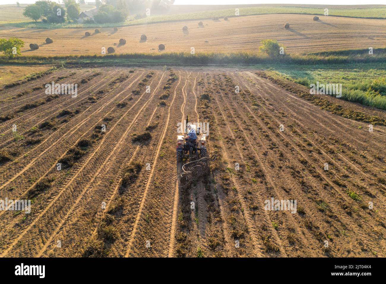 Il trattore attraversa piantagioni di fagioli con campi agricoli e vegetazione sullo sfondo. Paesaggio agricolo. Industria alimentare. Shot orizzontale. Foto di alta qualità Foto Stock
