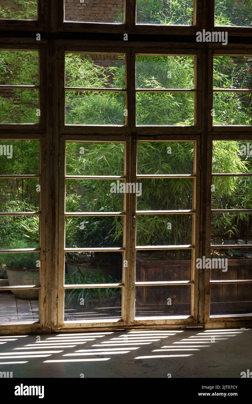 Grande cornice di legno di finestra panoramica di casa cottage con vista sul giardino estivo con piante lussureggianti Foto Stock