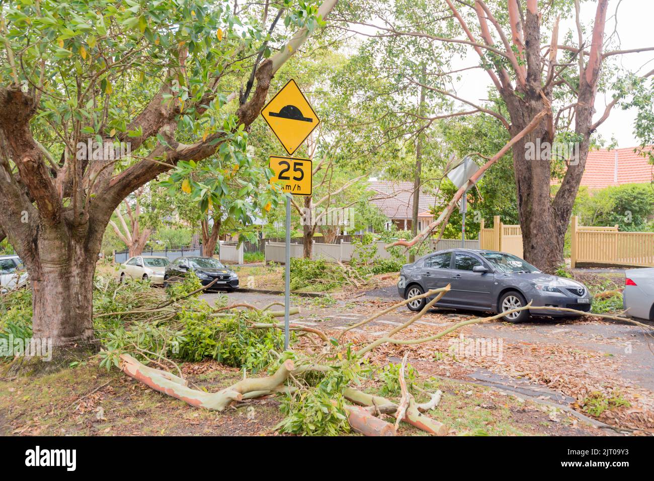 Sydney Aust Nov 26 2019: una improvvisa tempesta strappato attraverso la periferia a nord di Sydney lo scatto di alberi e pali di potenza lasciando carnage ma nessuna perdita di vita Foto Stock