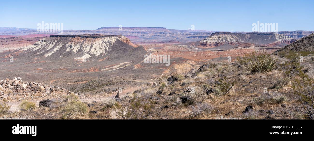 Mesa desertica nel deserto del Grande Bacino dello Utah sudoccidentale. Foto Stock