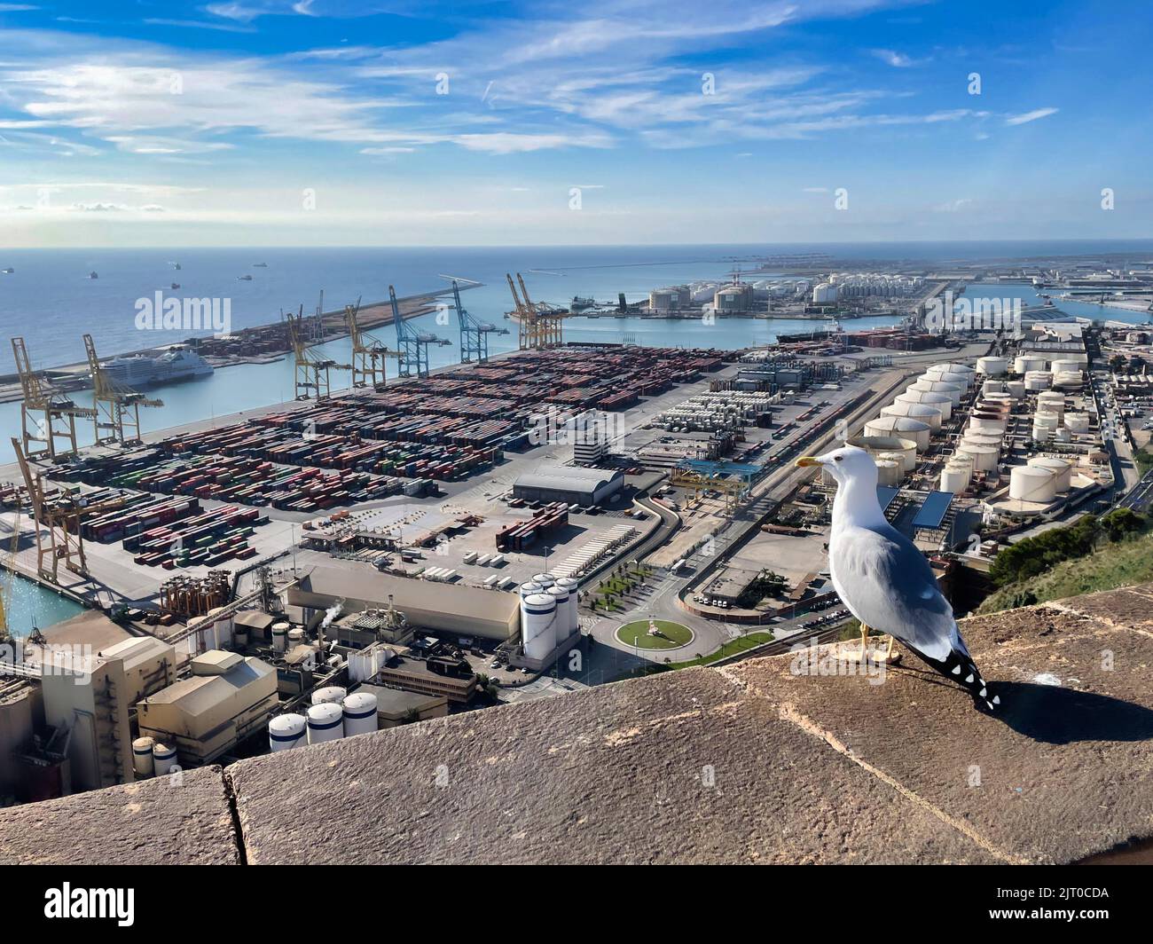 Un gabbiano che guarda ad un porto di navigazione industriale dal Castello di Montjuic, Barcellona Foto Stock