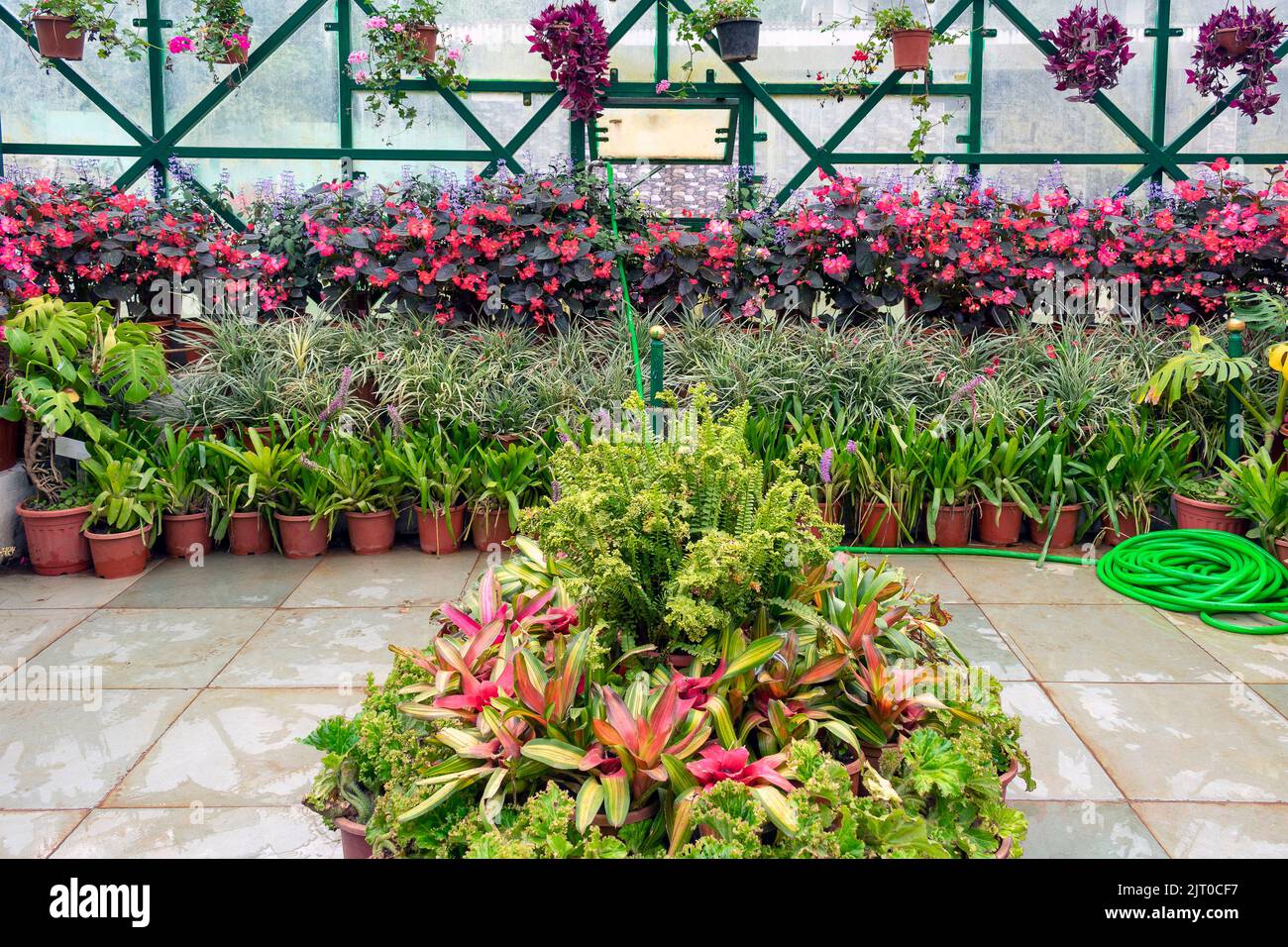 casa di pianta in un giardino per mostrare decorazione di fiori Foto Stock