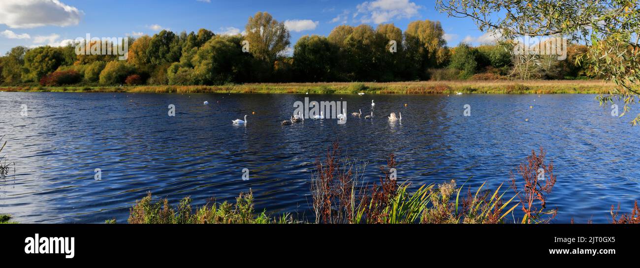 Il lago canottante a Thorpe Meadows, Peterborough città, Cambridgeshire, Inghilterra, Regno Unito Foto Stock