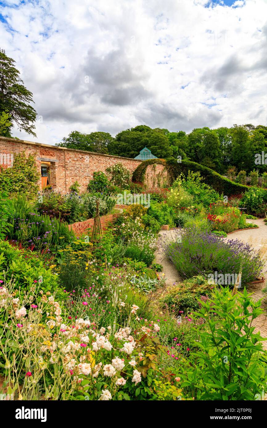 Il ben rifornito e bordi colorati nel Giardino Cottage nel restaurato recentemente 'Il Tritone in Somerset' giardino e hotel, nr Bruton, England, Regno Unito Foto Stock