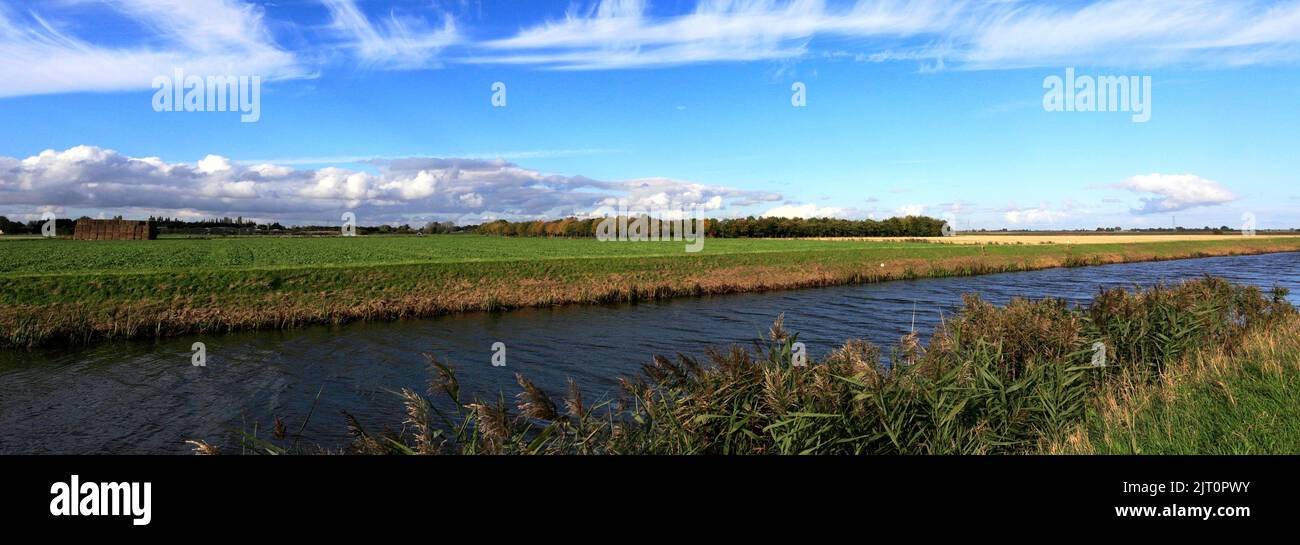 Summer View su Bevills apprendere drain, Pondersbridge village, Fenland; Cambridgeshire; Inghilterra; Regno Unito Foto Stock