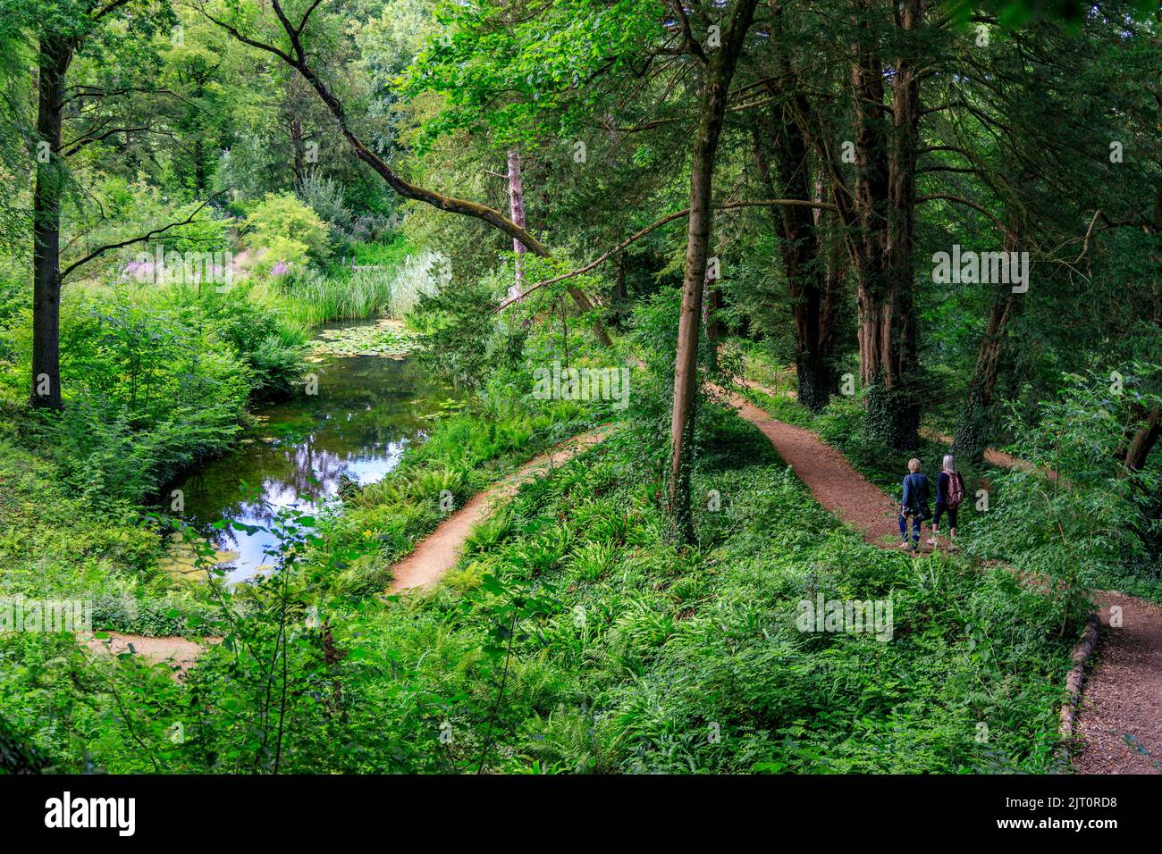 L'attraente terreno boschivo Marl Pit e il lago nel giardino restaurato 'The Newt in Somerset' e l'hotel, nr Bruton, Inghilterra, Regno Unito Foto Stock