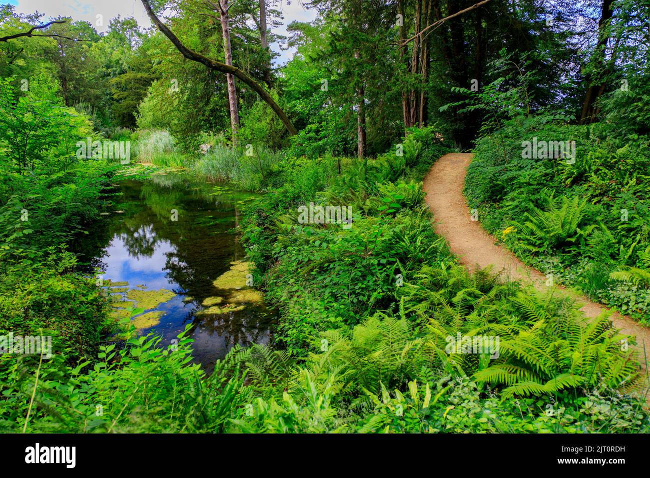 L'attraente terreno boschivo Marl Pit e il lago nel giardino restaurato 'The Newt in Somerset' e l'hotel, nr Bruton, Inghilterra, Regno Unito Foto Stock