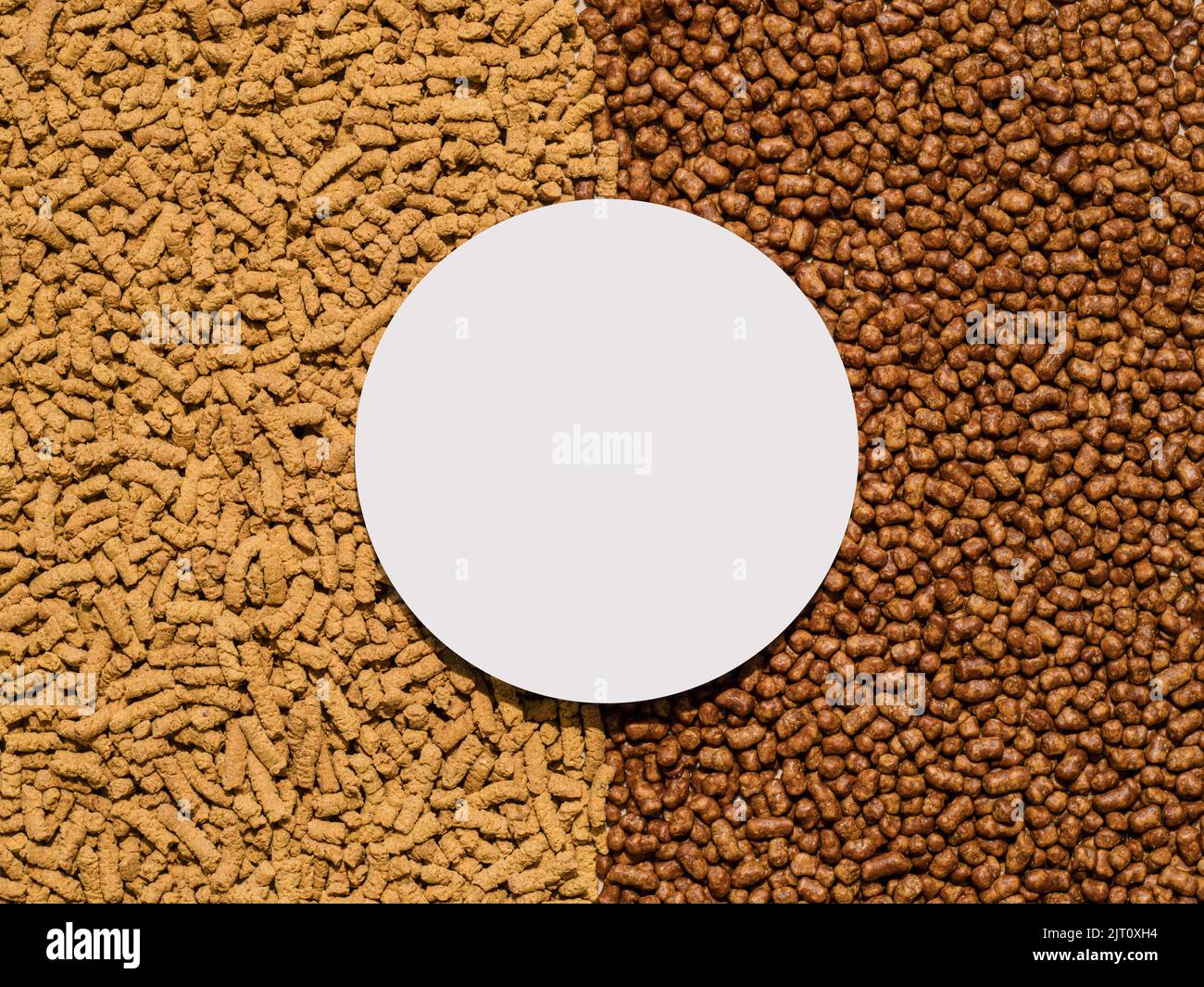 Tè grano saraceno o sfondo kuqiaocha con spazio di copia. Vista dall'alto di due tipi di tea groat di soba - arrosto chiaro e scuro. Disposizione piatta. Spazio di copia al centro Foto Stock